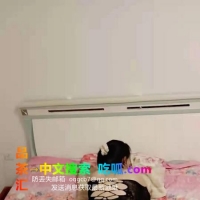 天津服务系骚女